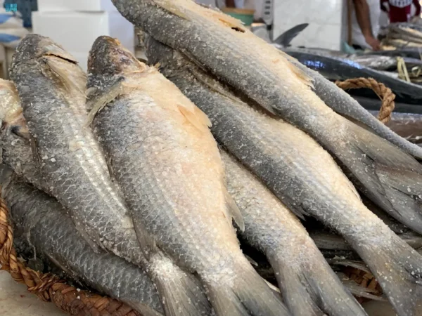 Salted and smoked fishes